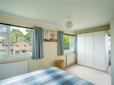 Picture 11